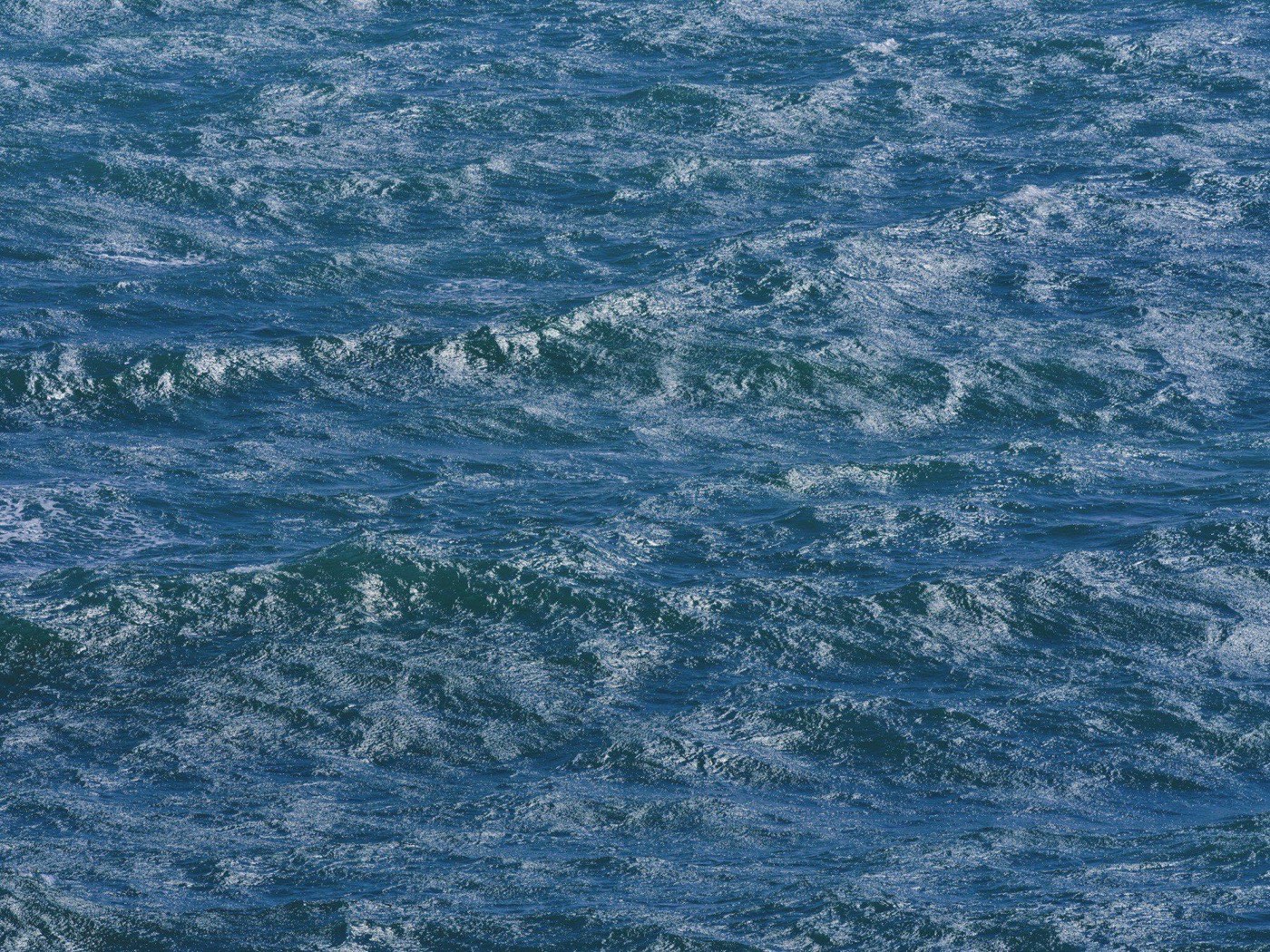 Calm water at dawn — still surface, clear horizon